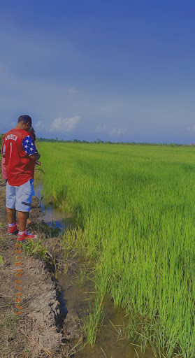 Civic Center «Kissimmee Civic Center», reviews and photos, 201 E Dakin Ave, Kissimmee, FL 34741, USA