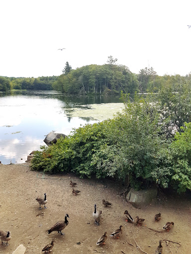 Candy Store «Wayside Country Store», reviews and photos, 1015 Boston Post Rd E #1, Marlborough, MA 01752, USA