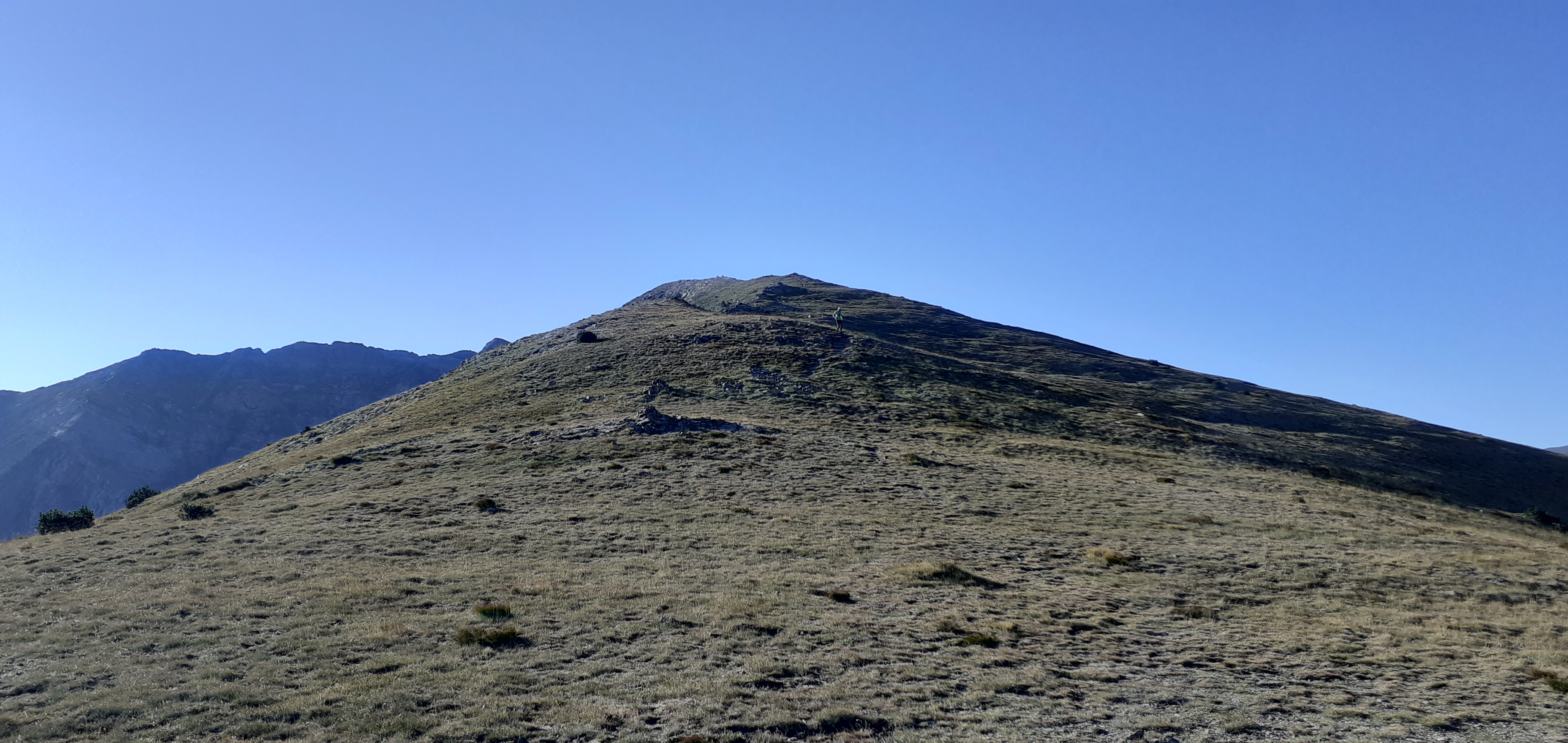Photo n° 22 de l'avis de Miguel.a fait le 30/07/2023 à 06:23