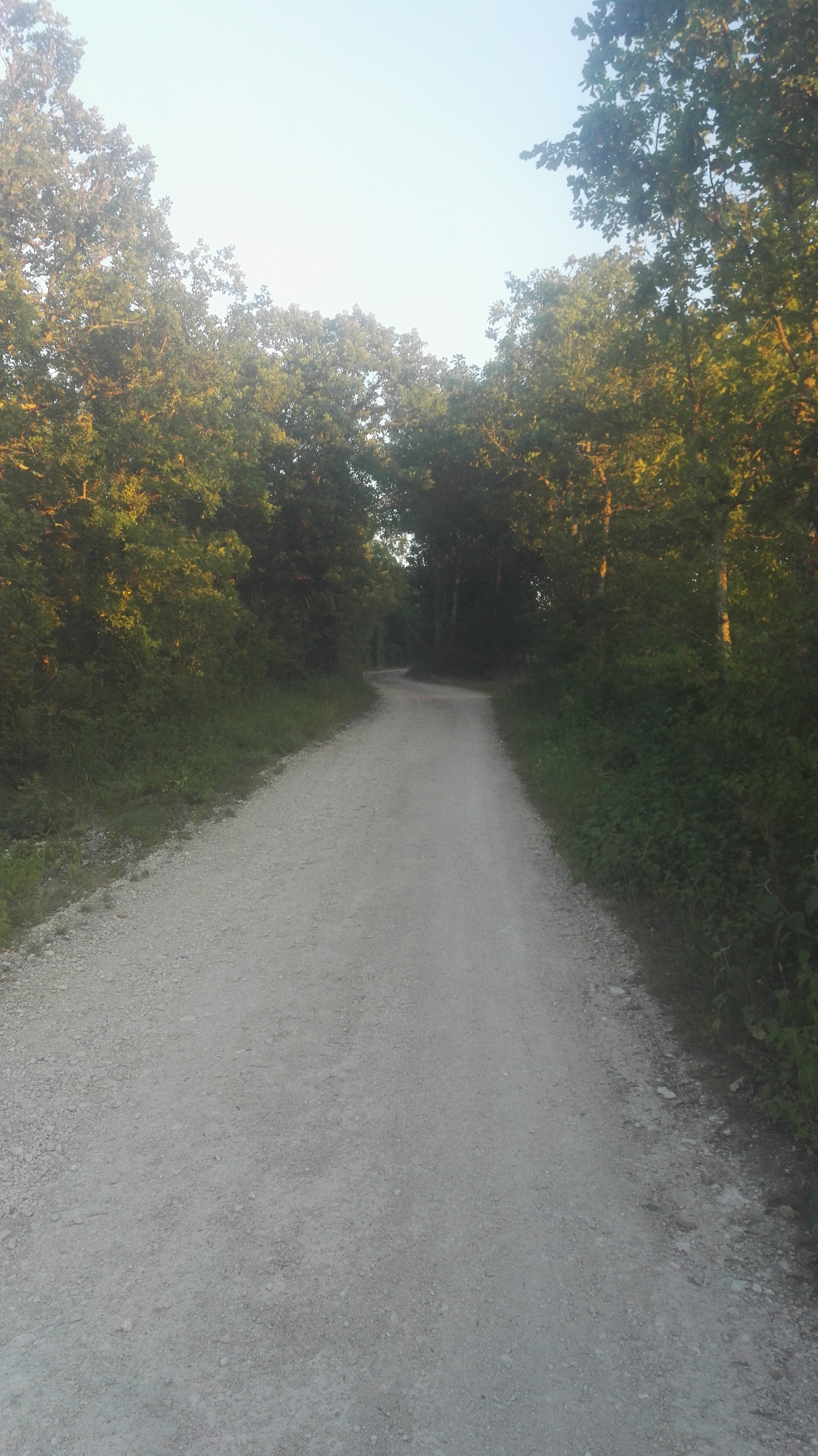 Photo n° 3 de l'avis de Elie.d fait le 15/07/2019 à 19:32