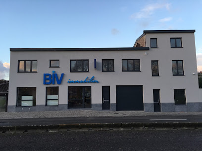 BIV immobilier