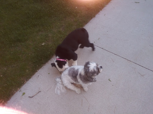 Park «Pulaski Park», reviews and photos, 3300 E Bayaud Ave, Denver, CO 80209, USA