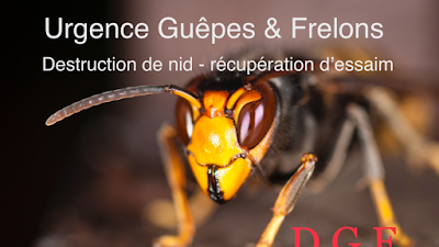DGF à Ferrières-en-Gâtinais