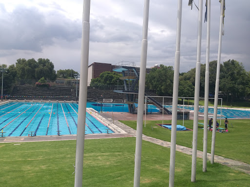 Olympic Pool Gym UNAM