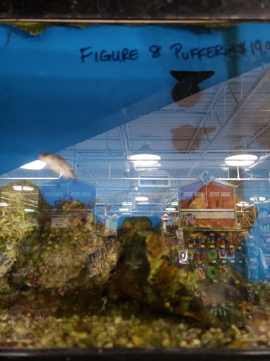 Pet Store «Pet Goods», reviews and photos, 1125 Central Park Ave, Scarsdale, NY 10583, USA