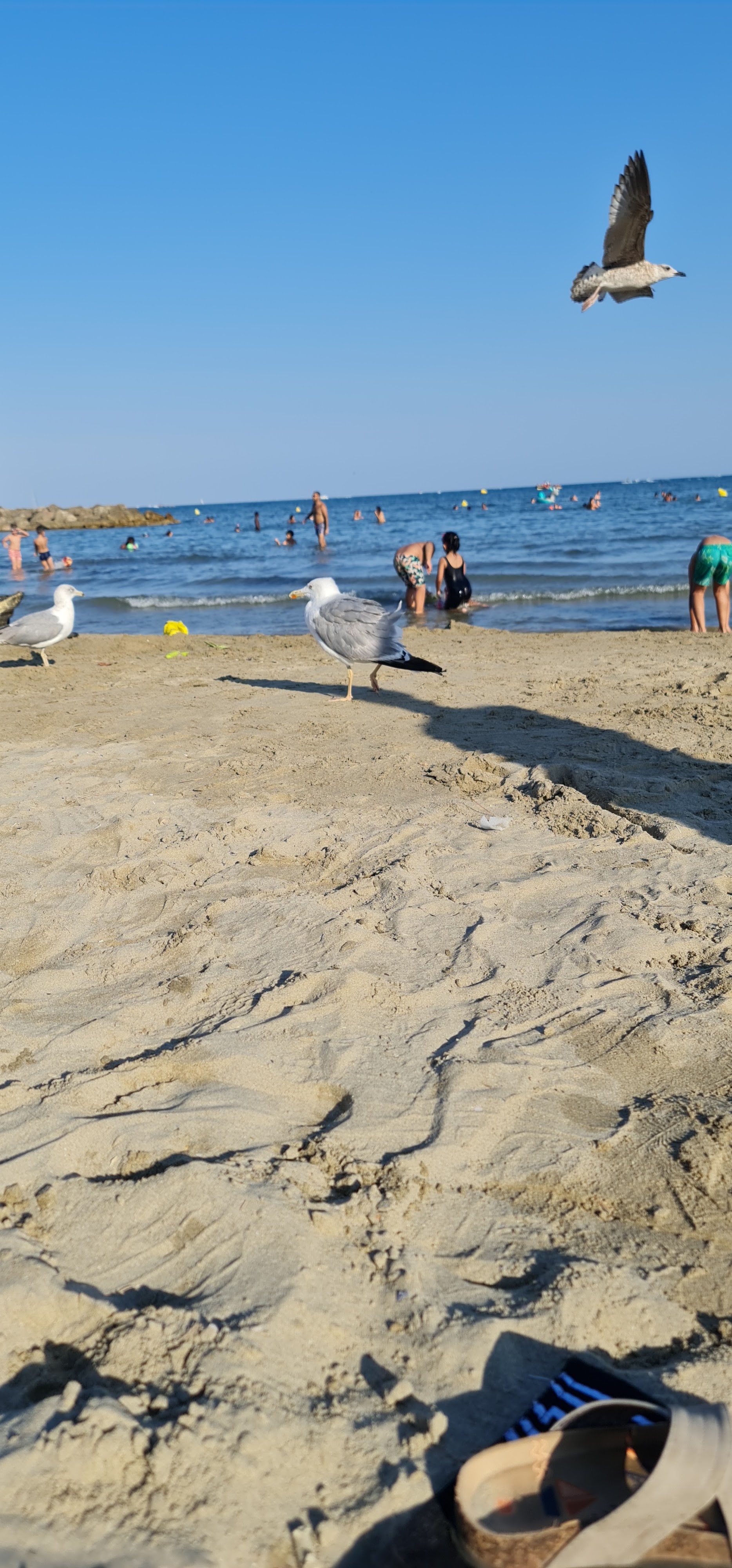 Photo n° 4 de l'avis de By.e fait le 15/08/2022 à 19:49