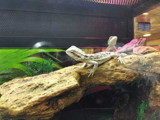 Pet Supply Store «PetSmart», reviews and photos, 355 Howe Ave, Cuyahoga Falls, OH 44221, USA