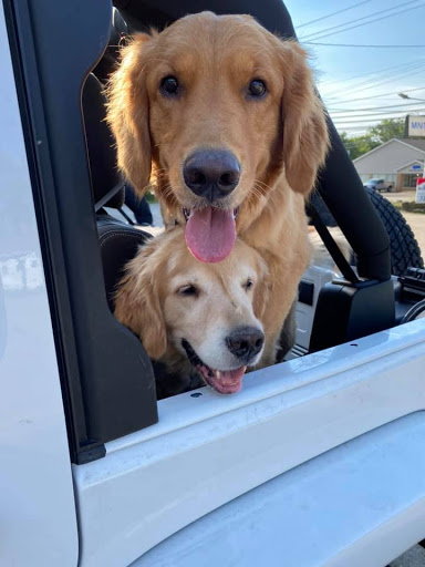 Insurance Agency «Kristy Hayduk - State Farm Insurance Agent», reviews and photos