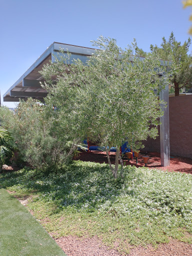 Social Services Organization «The Shade Tree», reviews and photos