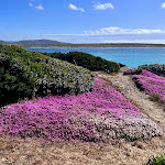 Photo n°9 de l'avis de mika.o fait le 11/06/2023 à 01:49 sur le  Ristorante Bar La Pelosetta à Stintino