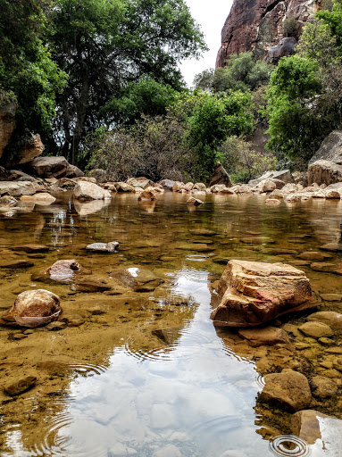 National Reserve «Red Rock Canyon National Conservation Area», reviews and photos, 1000 Scenic Loop Dr, Las Vegas, NV 89161, USA