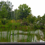 Photo n°1 de l'avis de Kerstin.l fait le 23/05/2020 à 10:55 sur le  Bismarckschänke à Burg