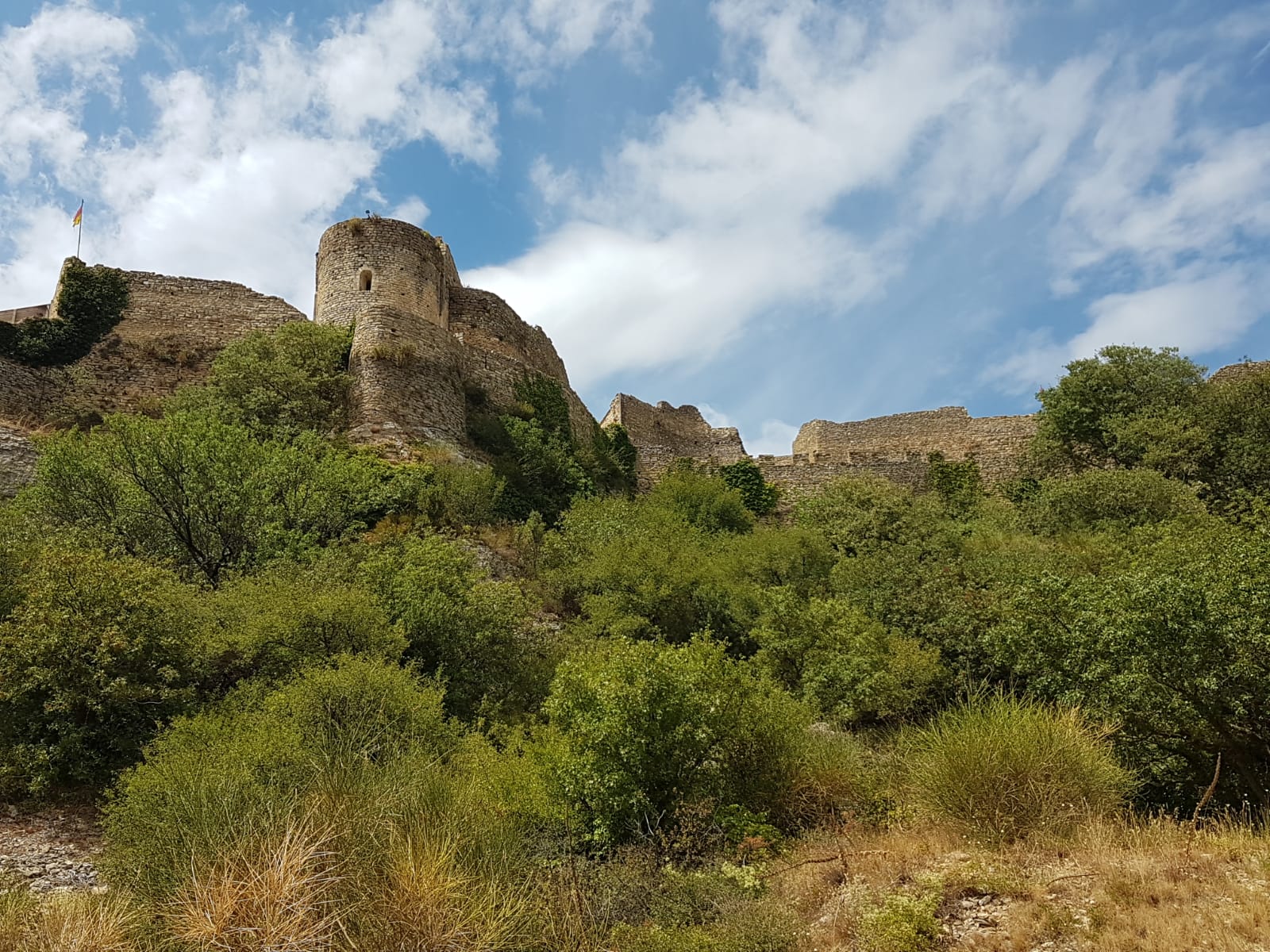 Photo n° 3 de l'avis de Marine. fait le 08/08/2019 à 11:39