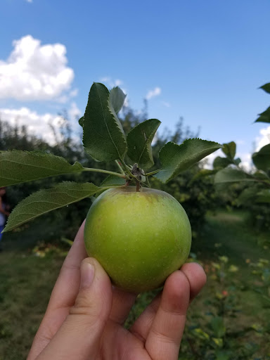 Farm «Kellers Farmstand», reviews and photos, 2500 Johnson Rd, Oswego, IL 60543, USA