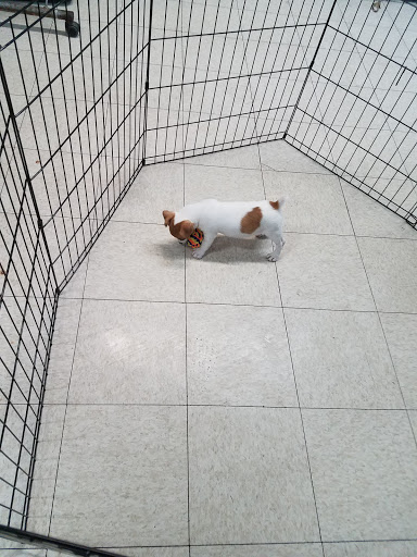 Pet Supply Store «Zoo-Rama Pets», reviews and photos, 2566 E Tremont Ave, Bronx, NY 10461, USA