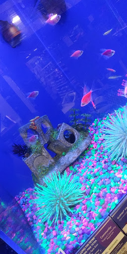 Pet Supply Store «PetSmart», reviews and photos, 479 River Hill Dr, Ashland, KY 41101, USA