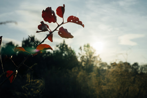 Park «Garrard Landing Park», reviews and photos, 8000 Holcomb Bridge Rd, Alpharetta, GA 30022, USA