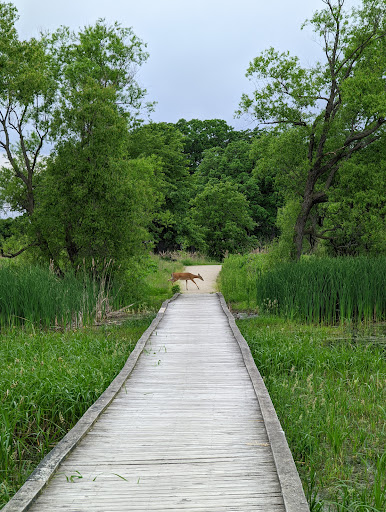 Nature Preserve «Rollins Savanna Forest Preserve», reviews and photos, 20160 W Washington St, Grayslake, IL 60030, USA