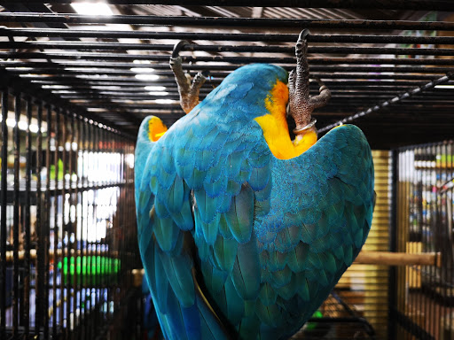 Bird Barn Pet Store