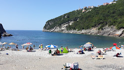 Degirmenagzi Plajı'in fotoğrafı imkanlar alanı