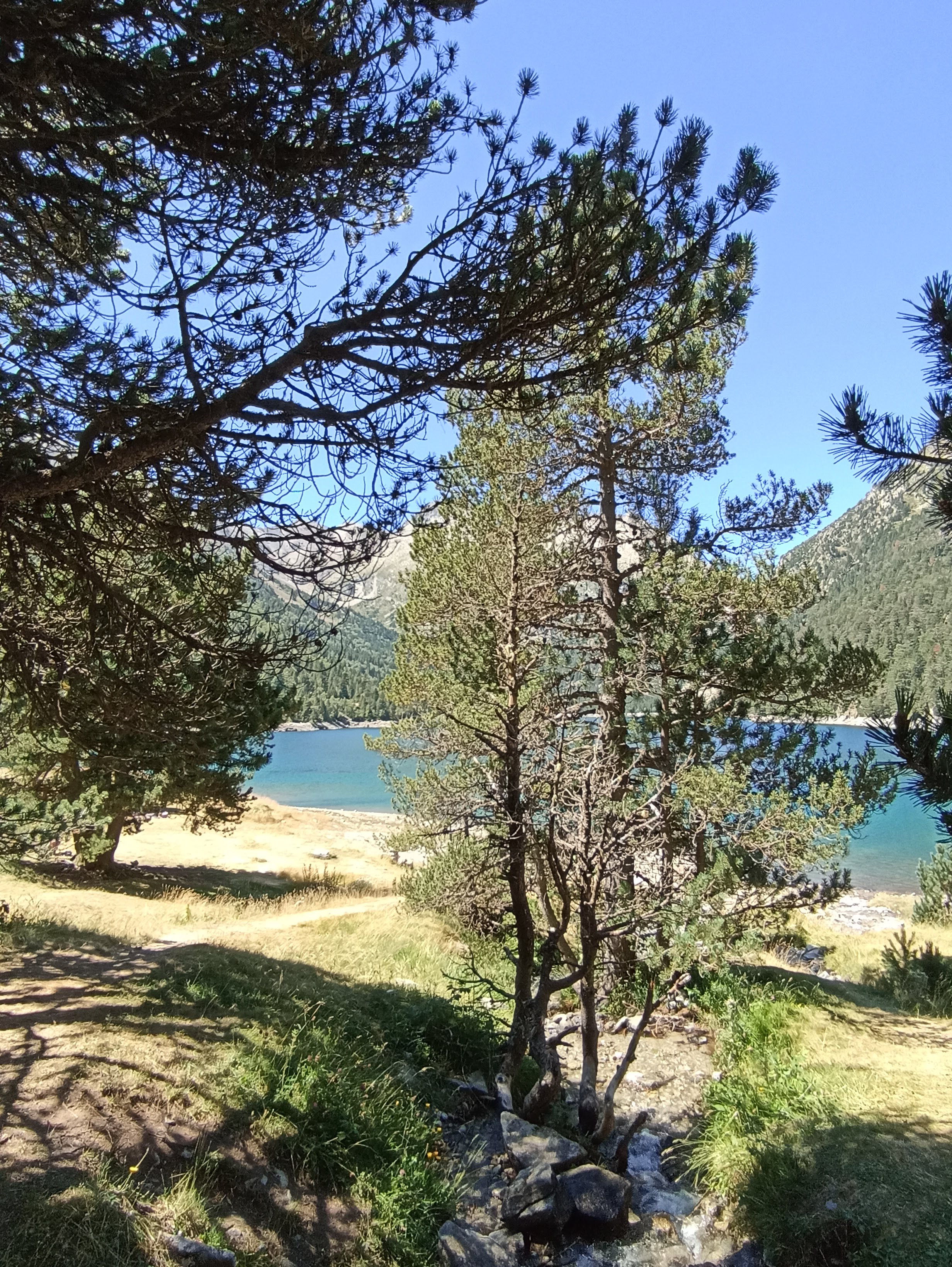 Photo n° 1 de l'avis de FIS.� fait le 15/08/2023 à 14:11