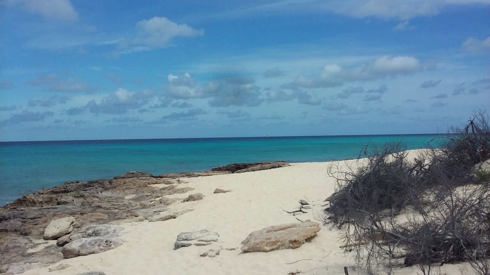Foto av English Point beach med beige sand och stenar yta