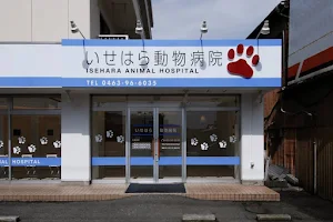 Isehara Animal Clinic image