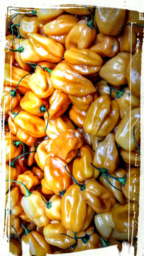 Grocery Store «Green Farm Market», reviews and photos, 2301 W Rosecrans Ave, Gardena, CA 90249, USA