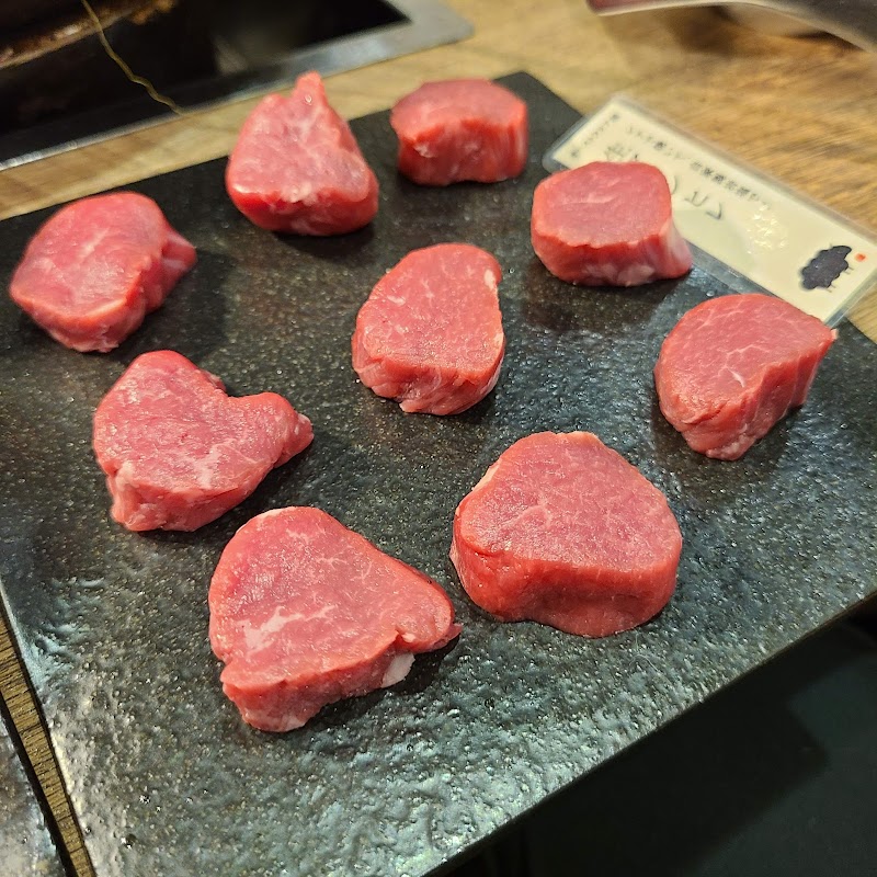 北海道産羊 野菜ふくすけ すすきの店 ジンギスカン個室 北海道札幌市中央区南７条西 マトン焼き肉店 グルコミ