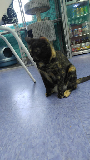 Thrift Store «Boomerangs Thrift Store», reviews and photos, 2365 Wilton Dr, Wilton Manors, FL 33305, USA