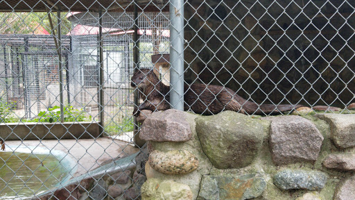 Zoo «Special Memories Zoo», reviews and photos, W7013 Spring Rd, Greenville, WI 54942, USA