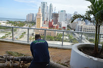 Top Green Landscape in Pembroke Pines - Photo 5 - Car repair in Fort Lauderdale, FL, Pembroke Pines