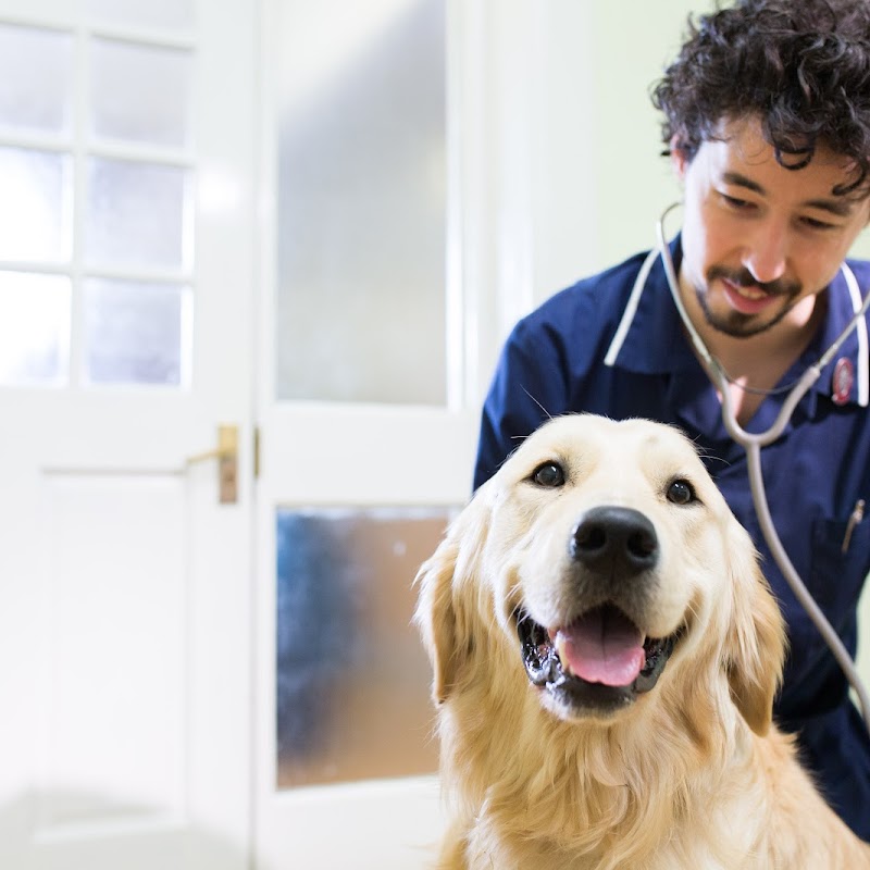 Lowesmoor House Veterinary Centre