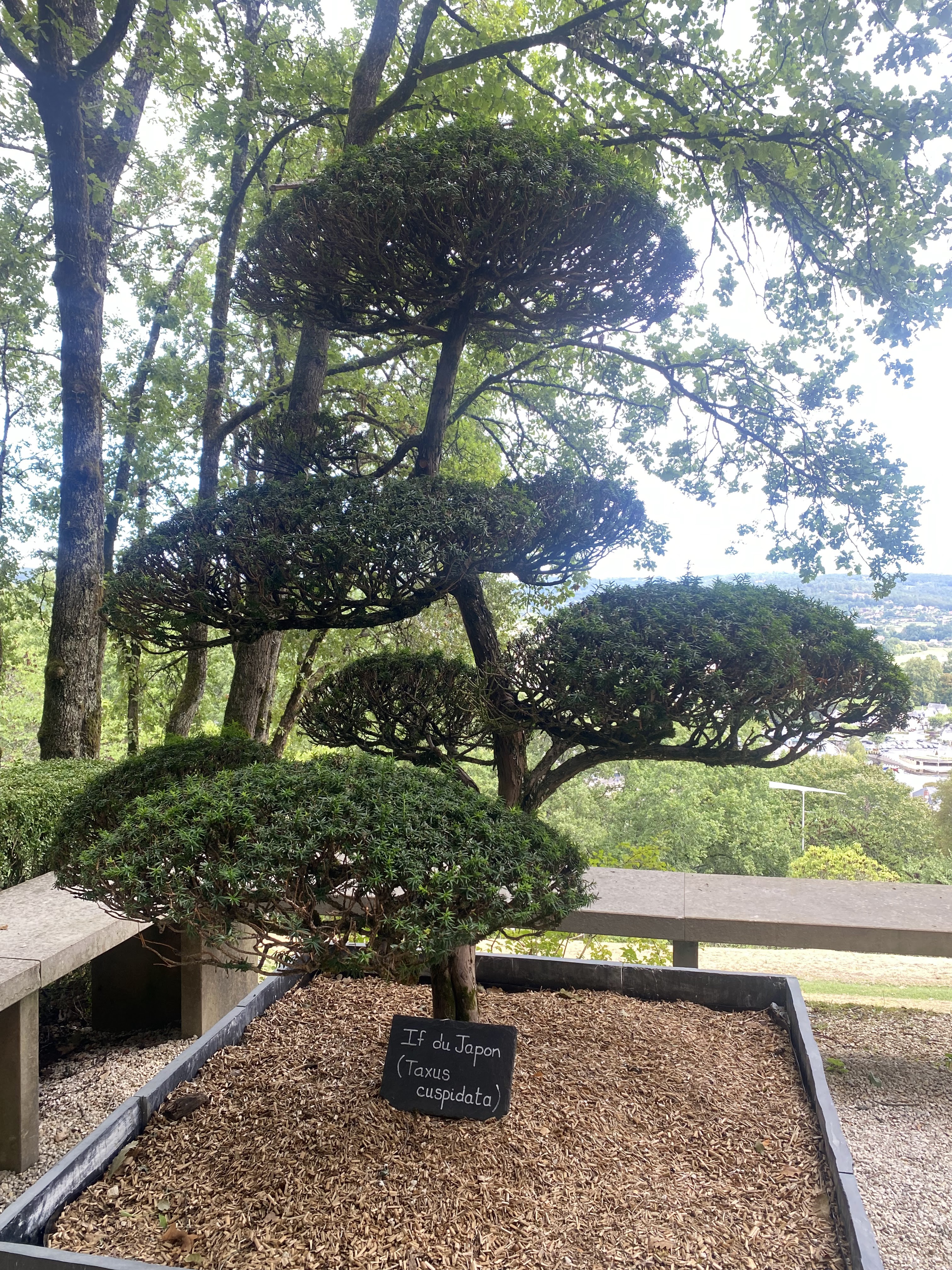 Photo n° 2 de l'avis de Régis.u fait le 28/08/2023 à 17:56