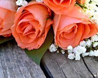 Simply Elegant Events - Photo 3 - Car repair in , San Antonio