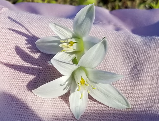 Community Center «NienhuisPark Community Center», reviews and photos, 3201 N 9th St, Broken Arrow, OK 74012, USA