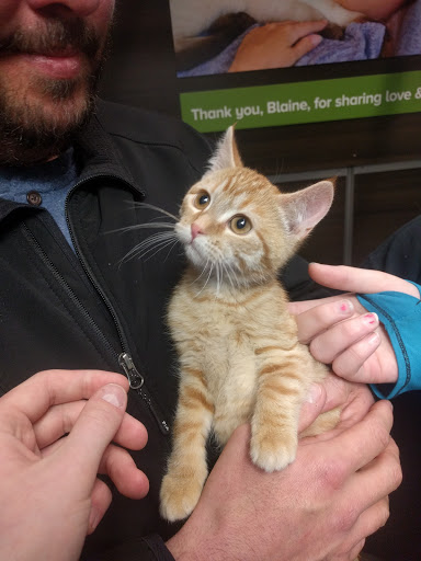 Pet Store «PetSmart», reviews and photos, 10451 Baltimore St NE, Blaine, MN 55449, USA