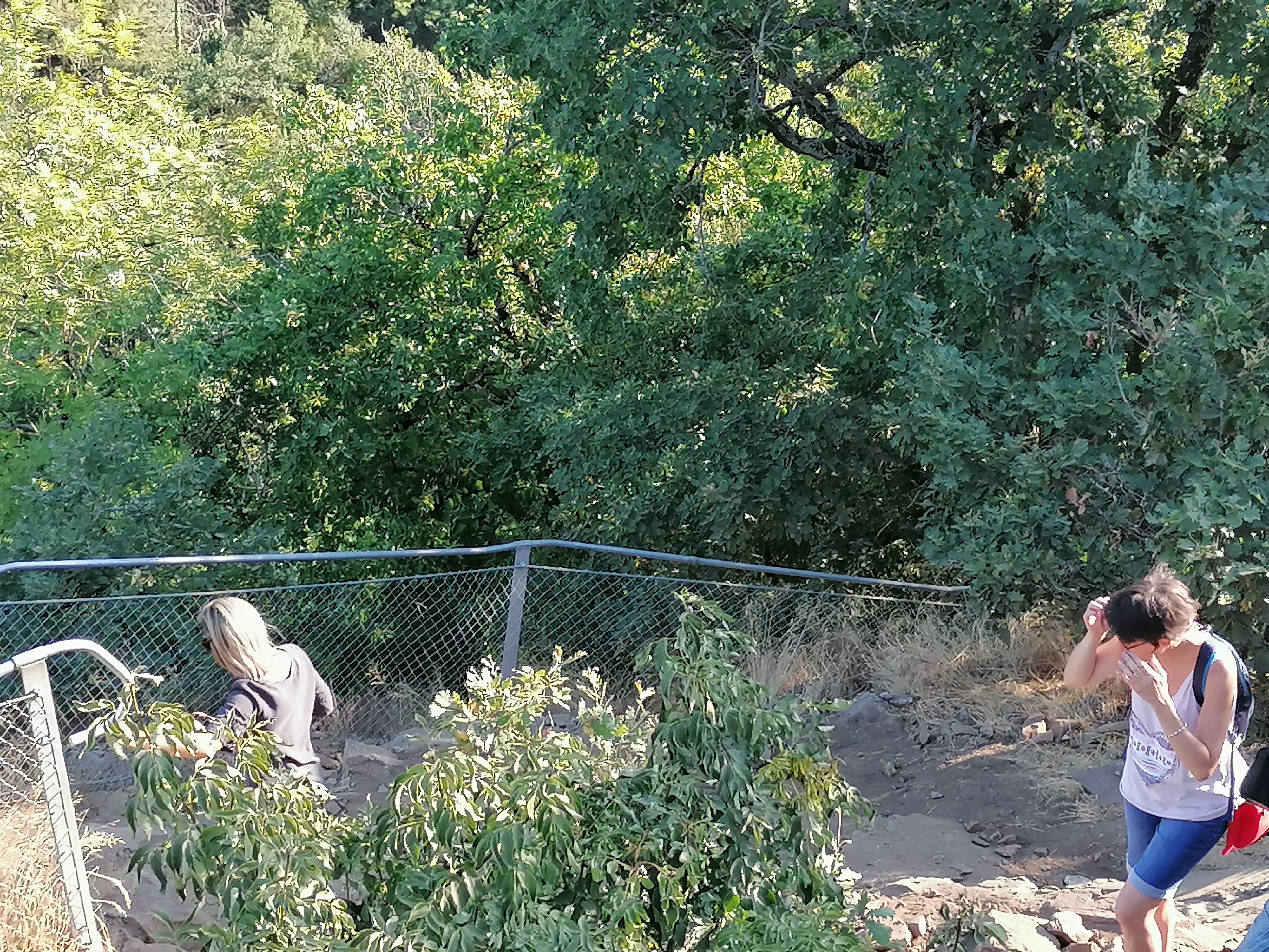 Photo n° 31 de l'avis de francis.o fait le 18/08/2020 à 13:49