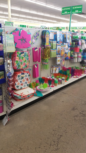 Dollar Store «Dollar Tree», reviews and photos, 1044 S Main St, Chelsea, MI 48118, USA