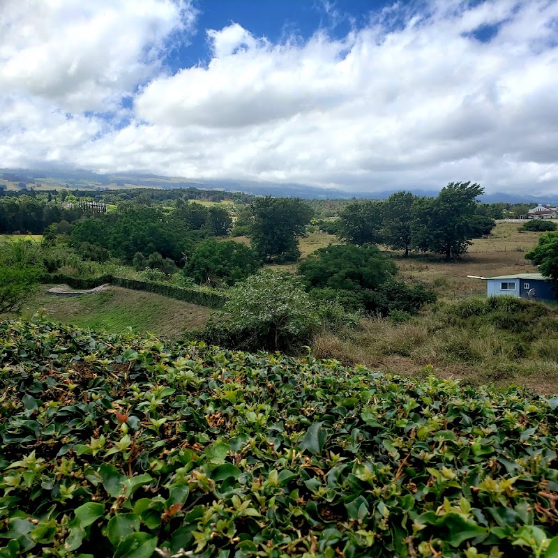 Upcountry Farmer's Market