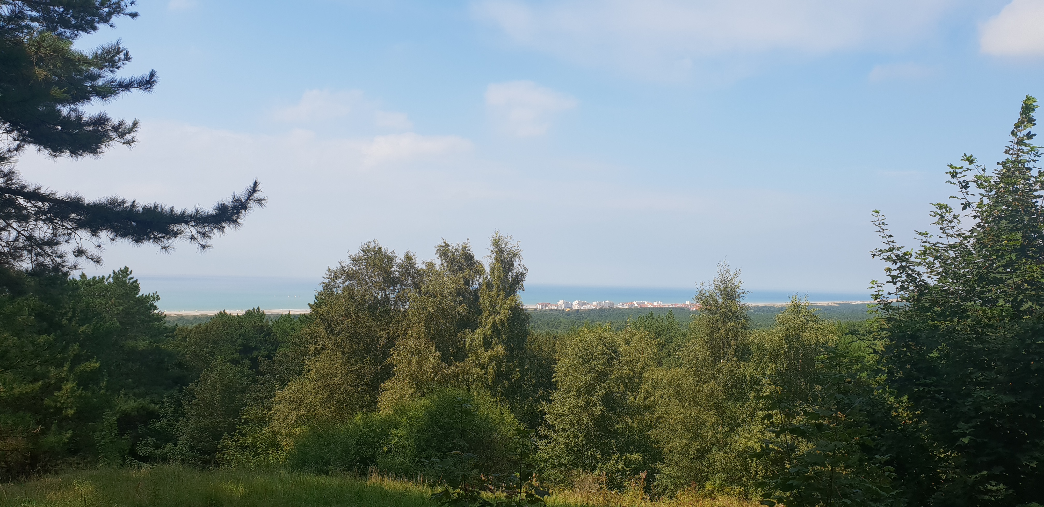 Photo n° 5 de l'avis de Floriant.o fait le 25/08/2023 à 13:28