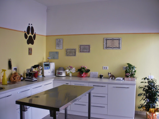 Pensioni per cani e dog hotel a Ambulatorio Veterinario Dott.ssa Ilaria Podest