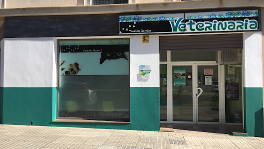 Clinica Veterinaria Yolanda Garnica plaza Zenete, Av. la Luz, 79, local, 04700 El Ejido, Almería, España