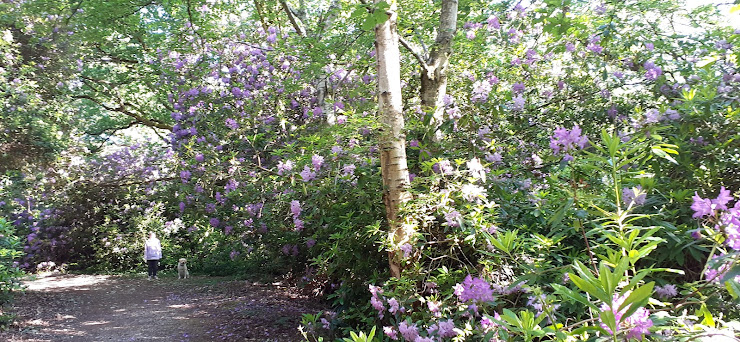 Photos des visiteurs Lodge Gite des Moulineaux 14600 Équemauville