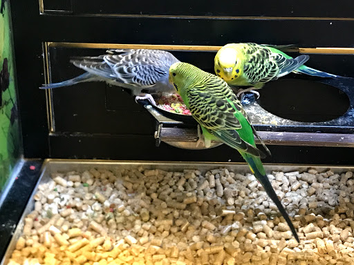 Pet Supply Store «PetSmart», reviews and photos, 1759 Apalachee Pkwy, Tallahassee, FL 32301, USA