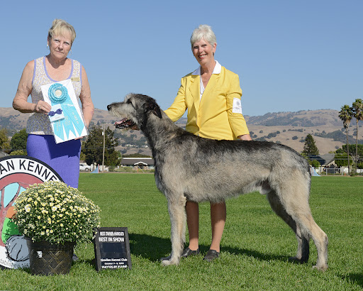 Heathview Irish Wolfhounds