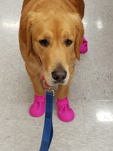 Pet Supply Store «Petco Animal Supplies», reviews and photos, 1201 E Washington Ave, Union Gap, WA 98903, USA