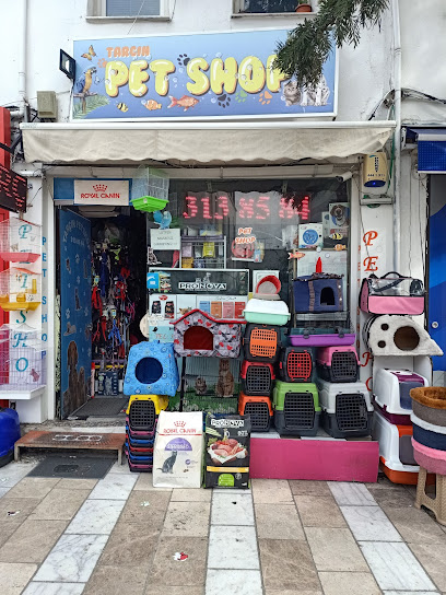 pet shop tarçın