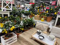 Opinii despre Auchan în Cluj - Centru Comercial