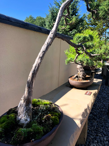 Gift Shop «Meijer Gardens Gift Shop», reviews and photos, 1000 E Beltline Ave NE, Grand Rapids, MI 49525, USA